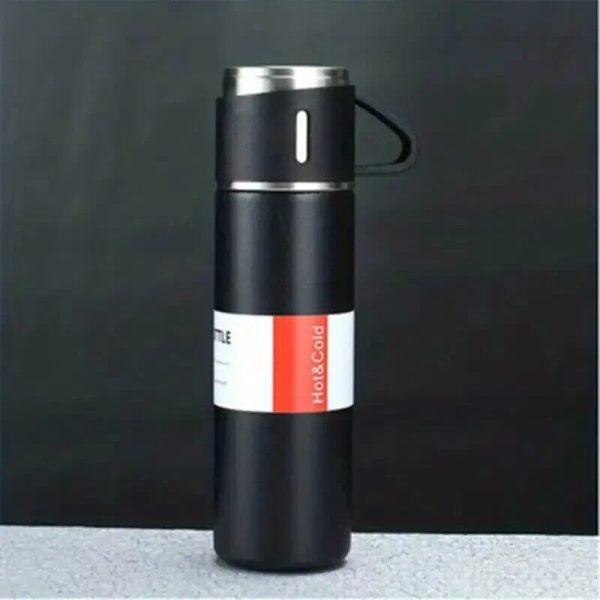 Stainless Steel 500ml Hot & Cool Water Bottle (500 ML) (random Color) - AVORA